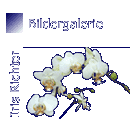 Bildergalerie Iris Richter